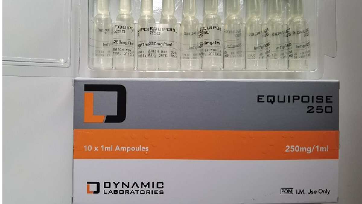 FXTN2rBOnaAUnXIJNp9z-1